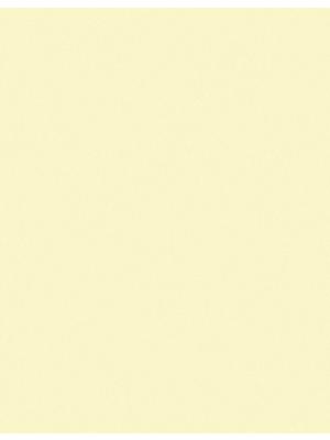 3M™ Lapping Film 261X, 12.0 Micron Sheet, 8.50 in x 11 in, 50 per inner 200 per case Image