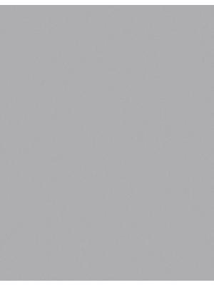 3M™ Wetordry™ Polishing Paper 481Q, 15.0 Micron Sheet, 8.50 in x 11 in, 50 per inner 200 per case Image